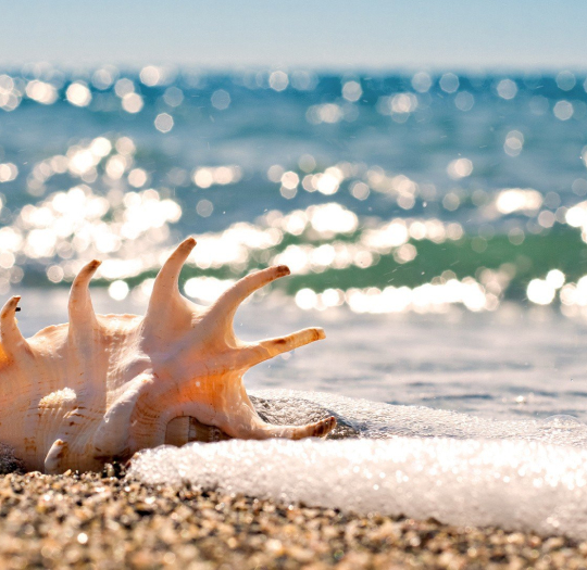 Реабилитация перенесенных бронхолегочных заболеваний